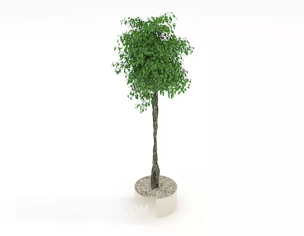 Japan Verdant Green Bonsai 3d model Japan Verdant Green Bonsai 3d model