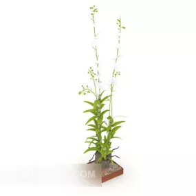 Watched Potted Plant 3d model