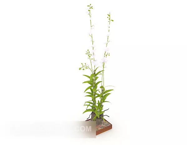 Watched Potted Plant 3d model Watched Potted Plant 3d model