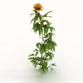 Wild Chrysanthemum 3d model