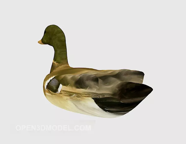 Wild Duck Swiming 3d model Wild Duck Swiming 3d model