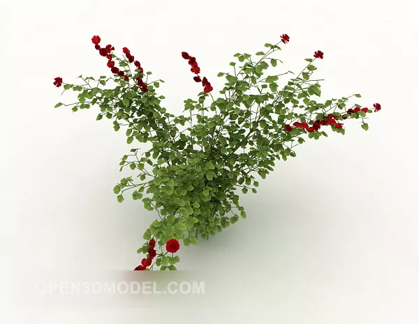 Wild Flower Plant 3d model Wild Flower Plant 3d model