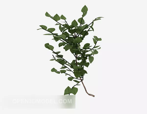 Clover Leaf Plant 3d model