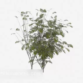 Wild Green Plant Tree 3d model
