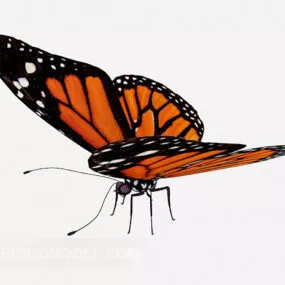 Wild Pattern Red Butterfly 3d model