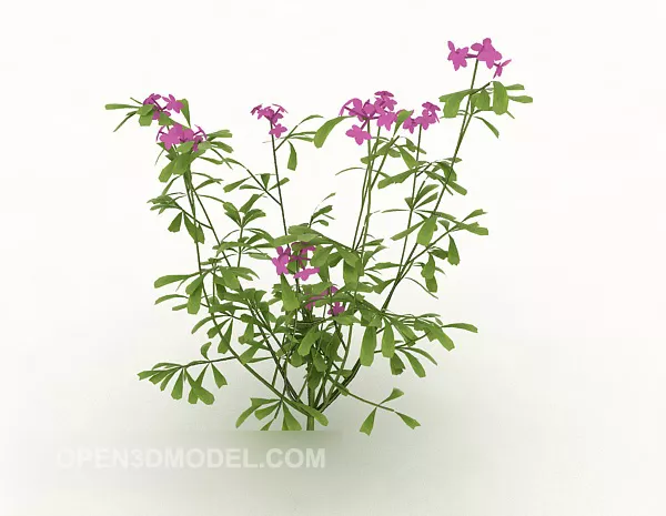 Flower Lavender 3d model