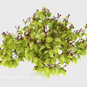 Beach Wild Plant Tree 3d model