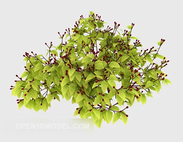 Bush Hedge 3d model