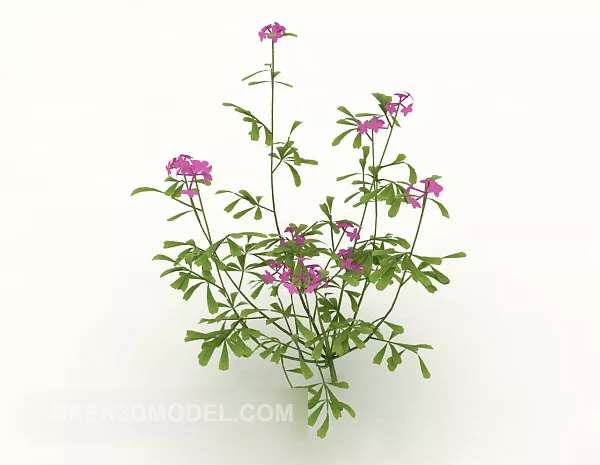 Garden Wildflower Tree 3d model Garden Wildflower Tree 3d model