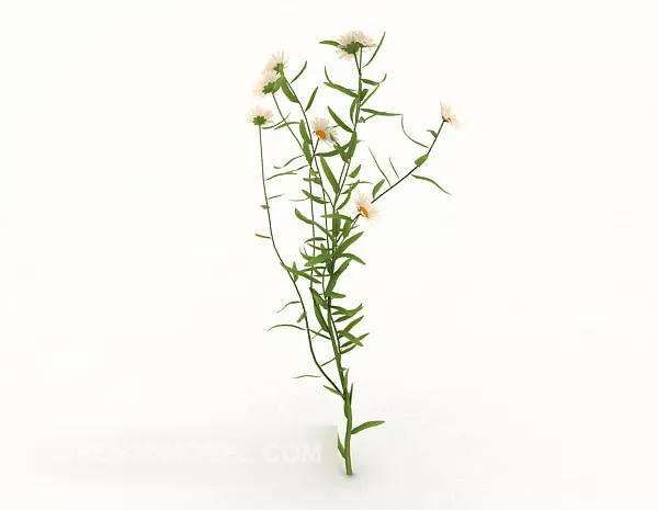 Wildflower Plant 3d model Wildflower Plant 3d model