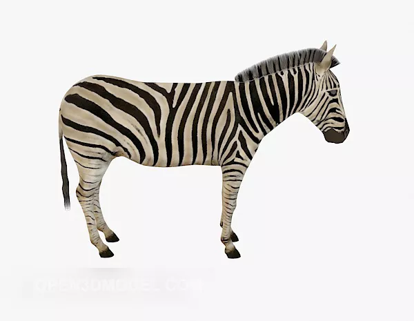 Zebra Animal In African Grass Field 3d model