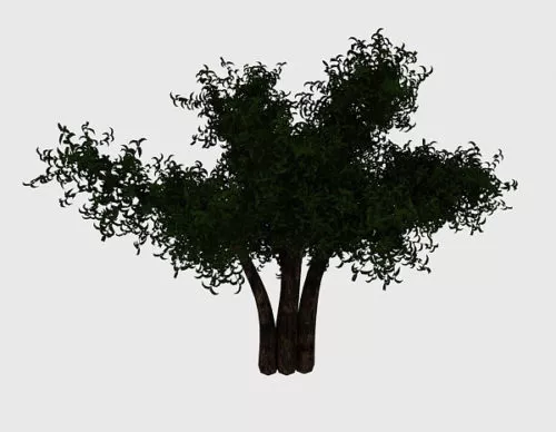 Abandoned Garden Landscape 3d model