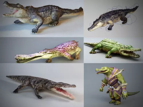 10 Alligator 3D Models Collection