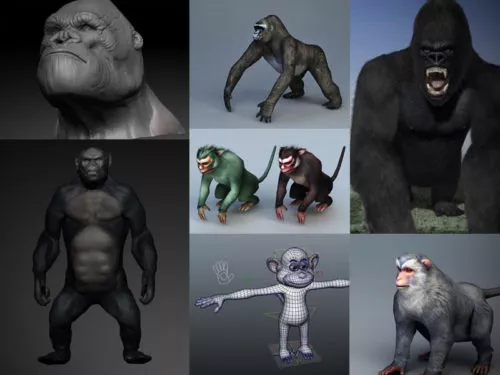 10 Realistic Monkey 3D Models Collection