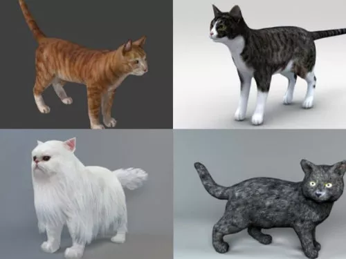 15 Beauty Cat 3D Models Collection