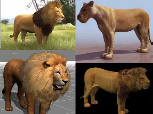 15 Lion 3D Models Collection Free Download