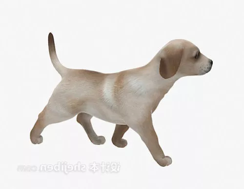Puppy Animal 3d model Puppy Animal 3d model