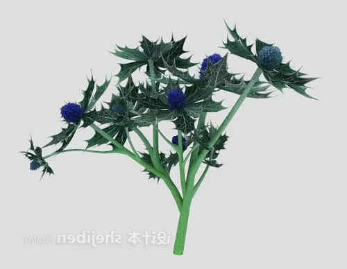 Outdoor Leaf Plant 3d model Outdoor Leaf Plant 3d model