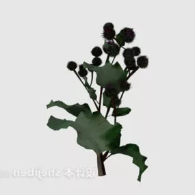 Outdoor Plant Tree Garden 3d model