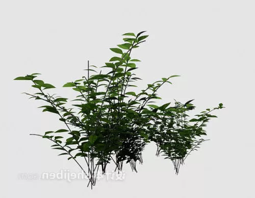 Green Plant Bushes 3d model Green Plant Bushes 3d model