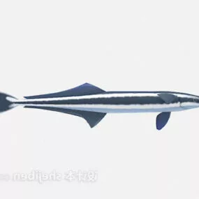 River Big Fish 3d model