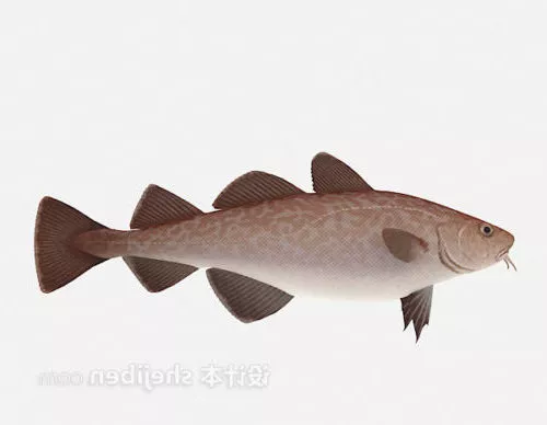 Red Fish Animal 3d model Red Fish Animal 3d model