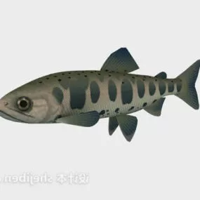 Blue River Fish 3d model