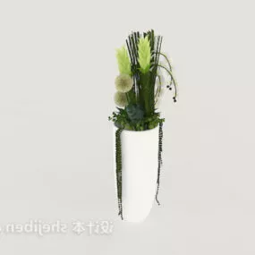 Ceramic Plant For Indoor Decorative 3d model