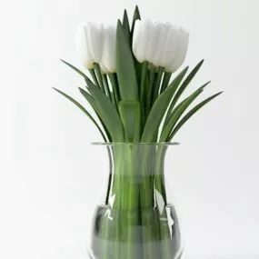 White Rose Flower Potted 3d model