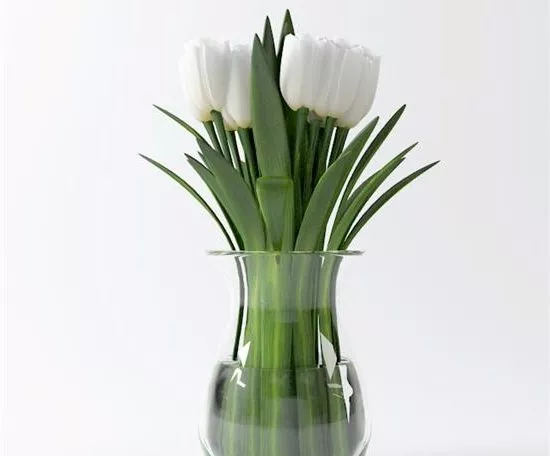 Flowers In Rectangle Pot 3d model
