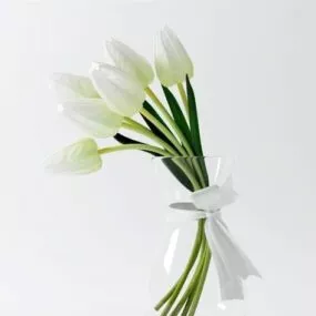 White Lotus Floral Flower 3d model