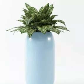 Indoor And Outdoor Potted Bonsai 3d model