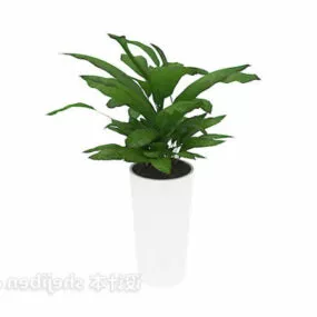 Interior Big Leaf Decorative Tree Plant 3d model