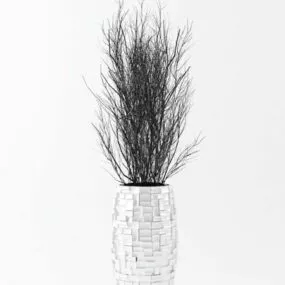 Interior Decorative Dry Branches 3d model