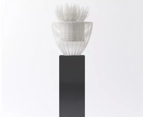 Interior Decorative Minimalist Potted 3d model Interior Decorative Minimalist Potted 3d model