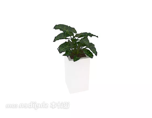 Indoor Potted Plant White Color 3d model Indoor Potted Plant White Color 3d model