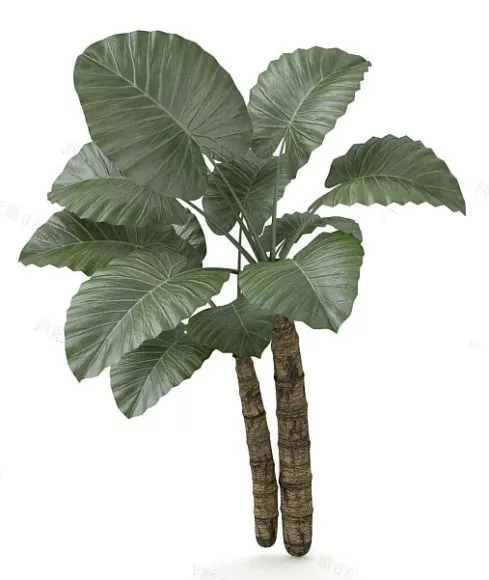 Garden Plant Tree 3d model Garden Plant Tree 3d model