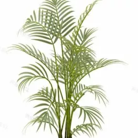 Small Indoor Palm Tree 3d model