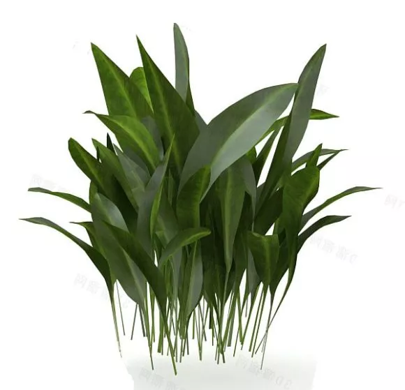 Garden Plant Tree V1 3d model Garden Plant Tree V1 3d model
