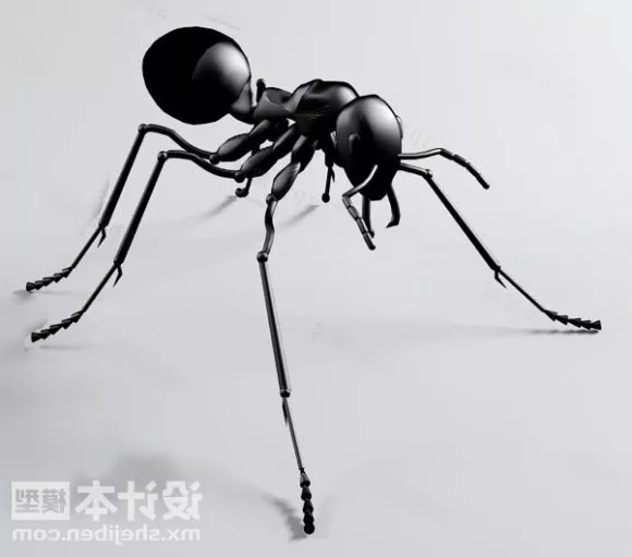 Ant Character 3d model