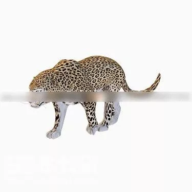 Leopard Animal 3d model Leopard Animal 3d model