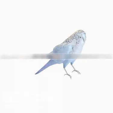 White Owl 3d model White Owl 3d model