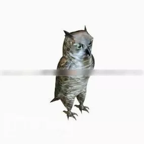 Owl Animal 3d model