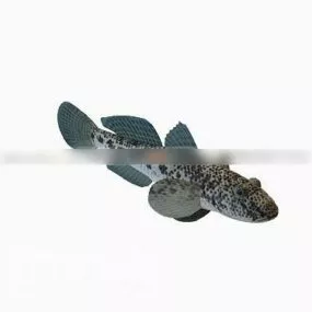 River Fish Animal 3d model