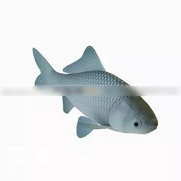 Red Cartoon Fish Lowpoly 3d model