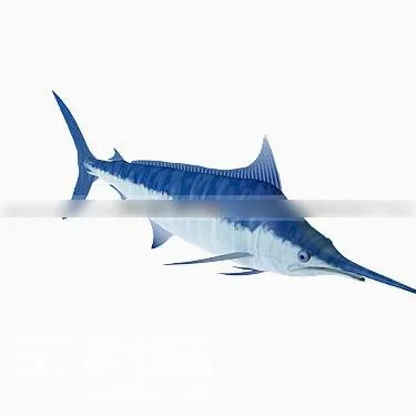 Swordfish 3d model Swordfish 3d model