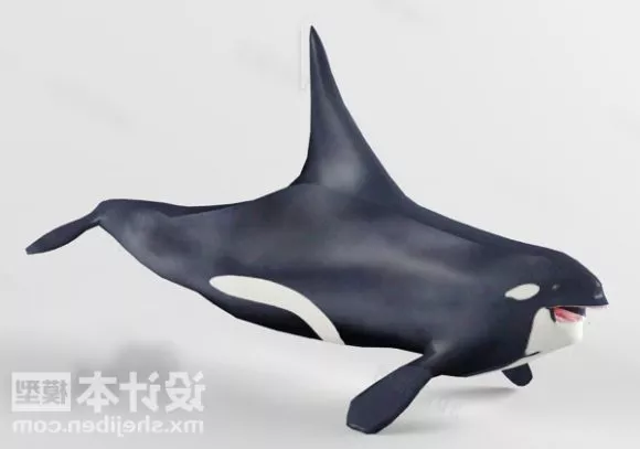 Big Whale Lowpoly 3d model