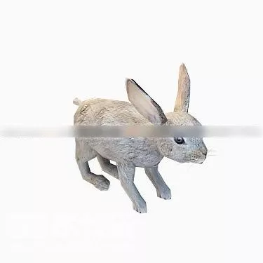 Wild Rabbit Animal 3d model Wild Rabbit Animal 3d model
