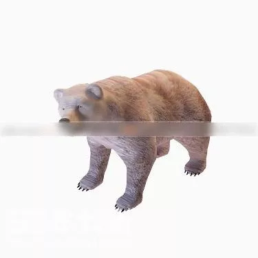 Red Bear Animal 3d model Red Bear Animal 3d model