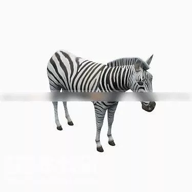 Wild Zebra Animal 3d model Wild Zebra Animal 3d model